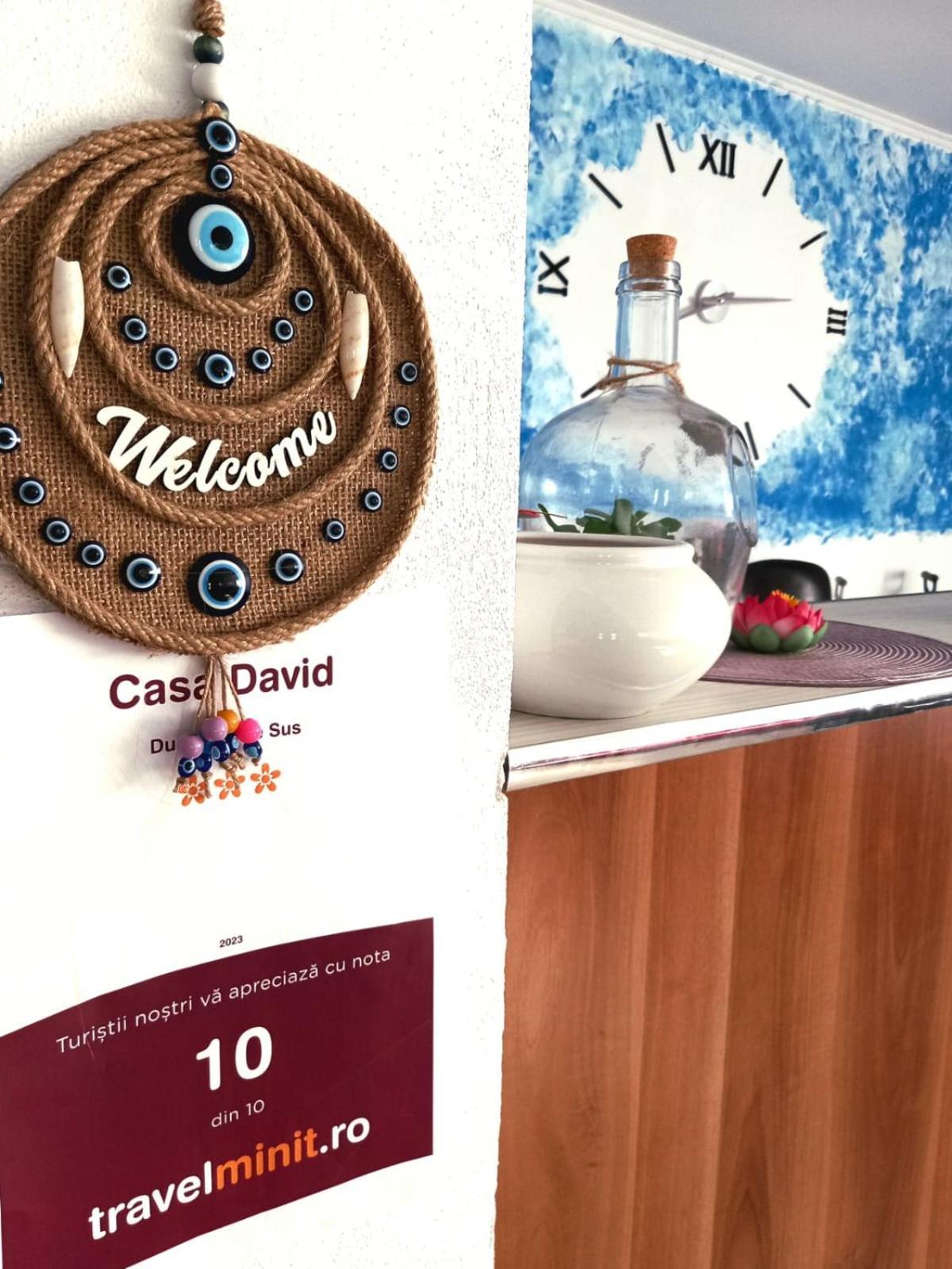 Готель Casa David Dunavatu de Sus Екстер'єр фото